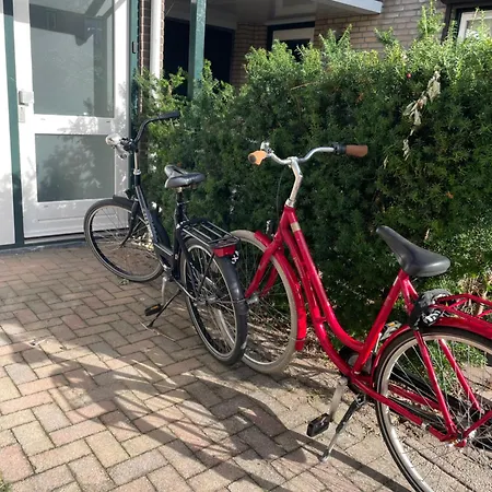 بيت ضيافة The Duck Of 3*