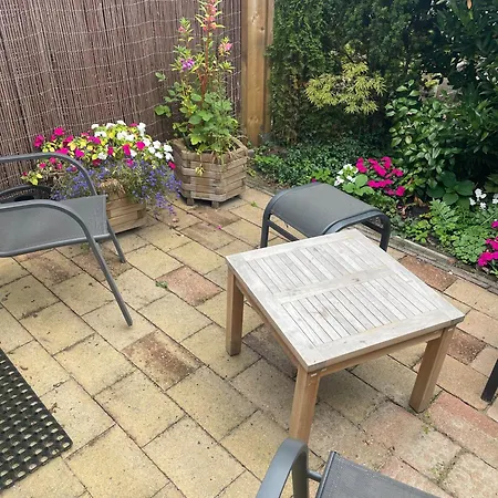 The Duck Of Pensionat