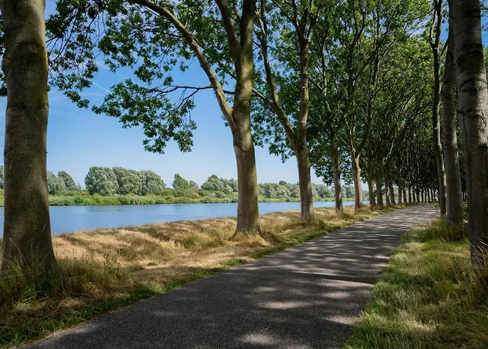 The Duck Of ゲストハウス アムステルダム