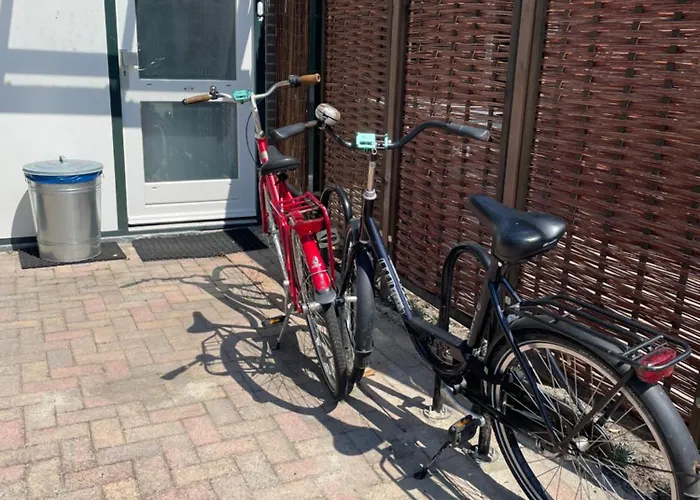 The Duck Of ゲストハウス