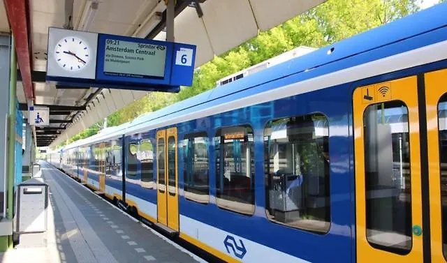 The Duck Of ゲストハウス