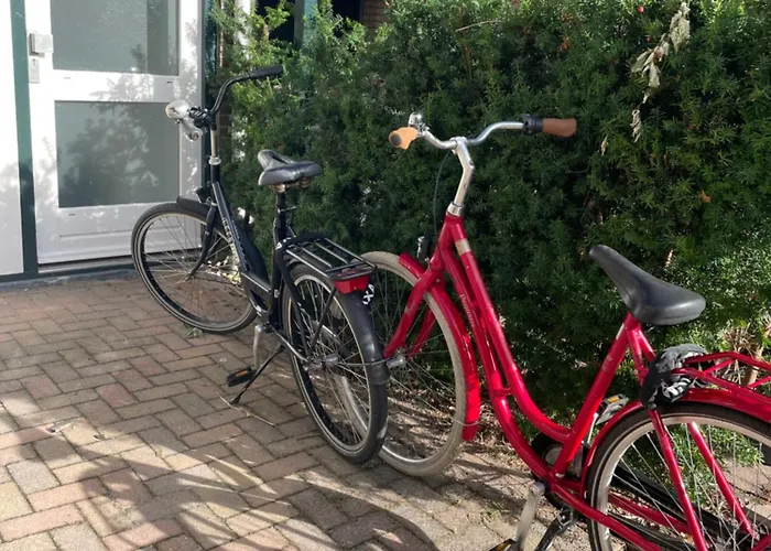 ゲストハウス The Duck Of 3*