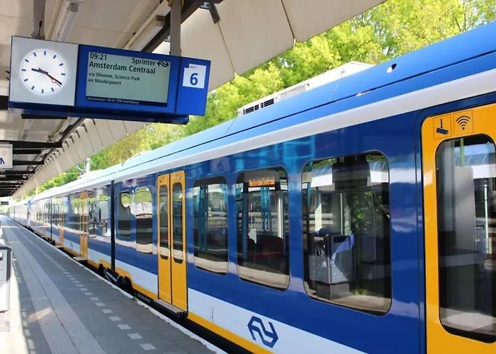 The Duck Of ゲストハウス アムステルダム