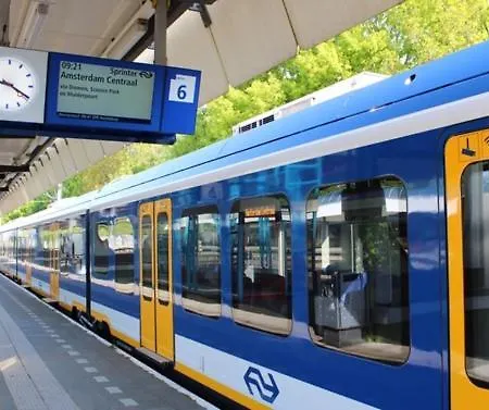 The Duck Of Πανσιόν